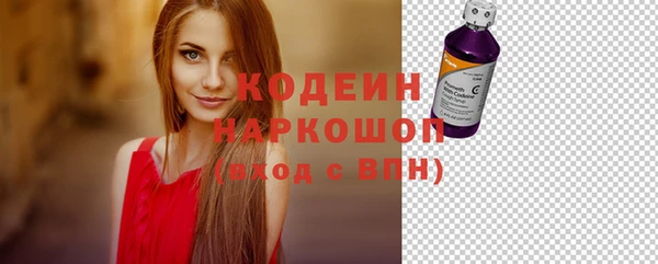 соль ск Бородино
