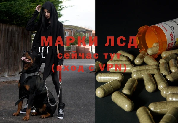 первитин Богородск